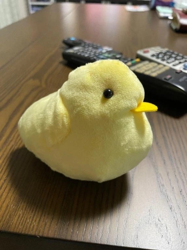 2/22お礼｜写メ日記｜前川｜鶯谷 一般デリヘル 鶯谷デッドボール