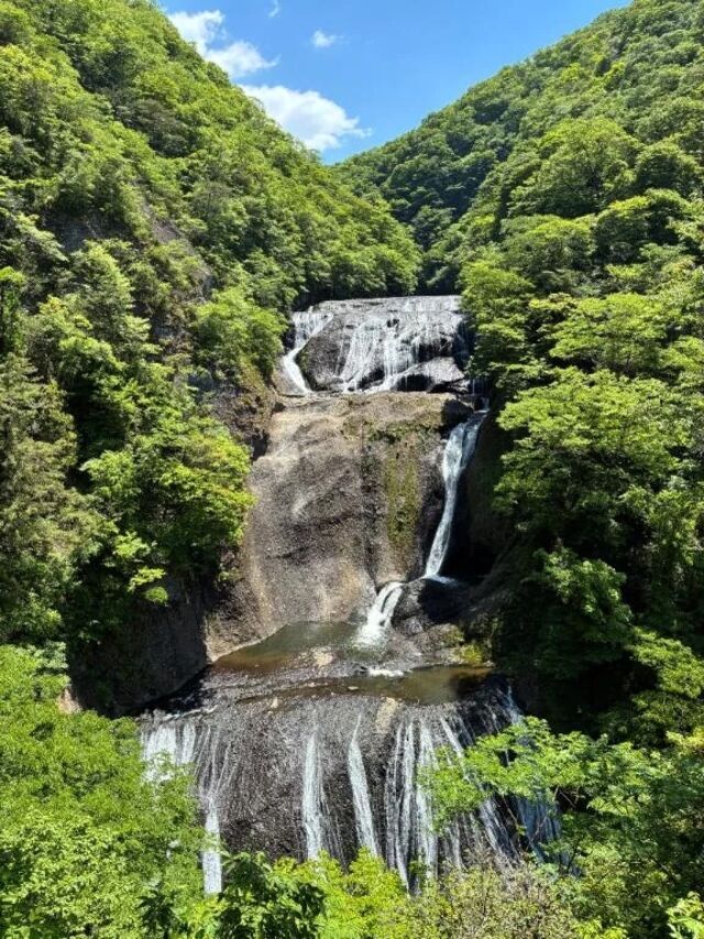 出勤でーすよ｜写メ日記｜前川｜鶯谷 一般デリヘル 鶯谷デッドボール