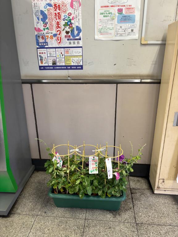 ありがとうございました💕｜写メ日記｜植松｜鶯谷 一般デリヘル 鶯谷デッドボール