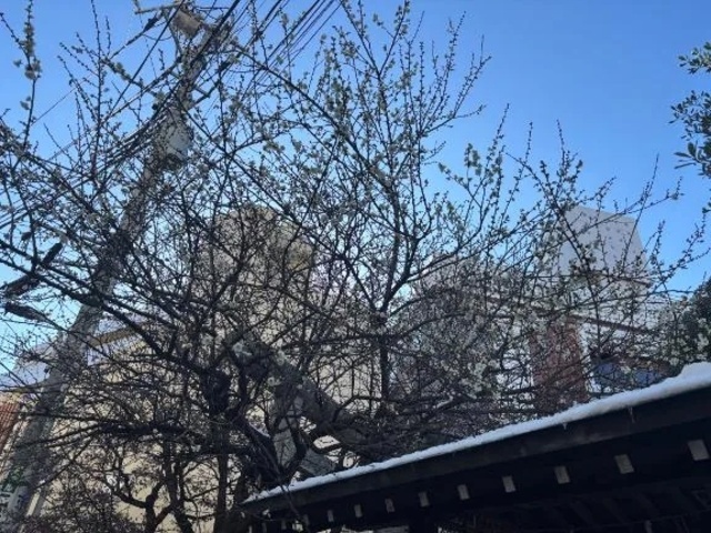 ありがとうございました💕｜写メ日記｜植松｜鶯谷 一般デリヘル 鶯谷デッドボール