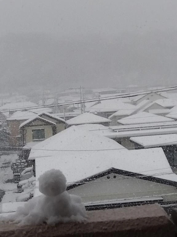 雪｜写メ日記｜シュルツ｜鶯谷 一般デリヘル 鶯谷デッドボール