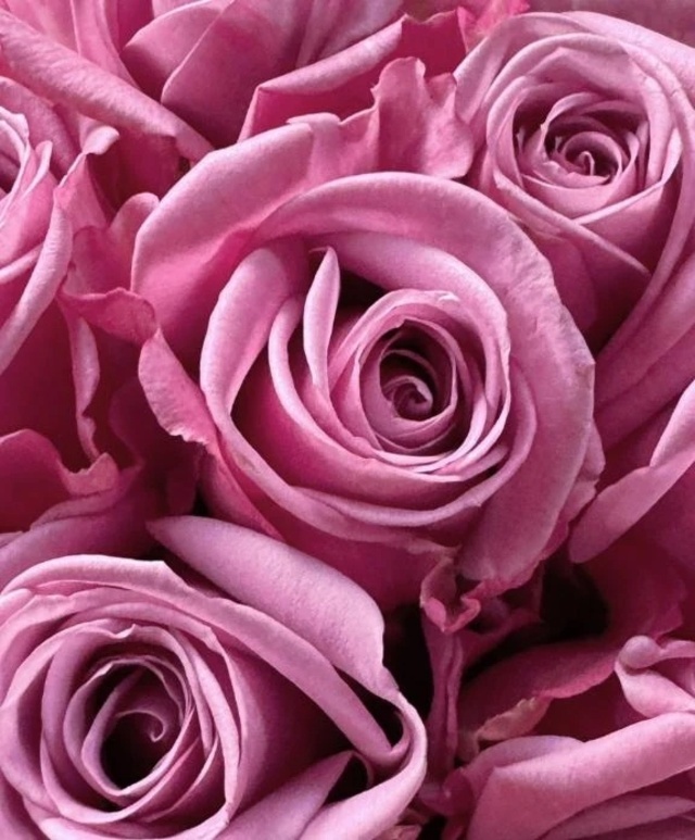 お知らせ😱｜写メ日記｜フランスア｜鶯谷 一般デリヘル 鶯谷デッドボール