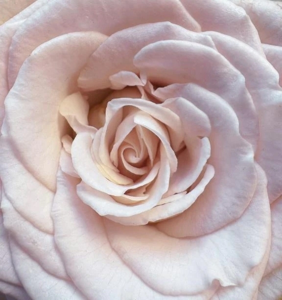 お詫び｜写メ日記｜フランスア｜鶯谷 一般デリヘル 鶯谷デッドボール