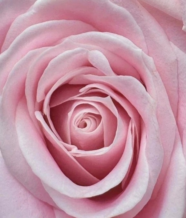 事前ご予約誠にありがとうですわ🥰｜写メ日記｜フランスア｜鶯谷 一般デリヘル 鶯谷デッドボール