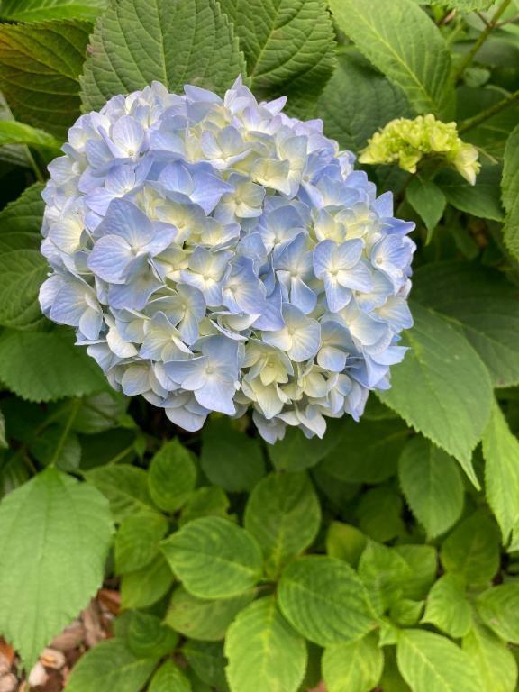 出勤しました｜写メ日記｜ミンチー｜鶯谷 一般デリヘル 鶯谷デッドボール