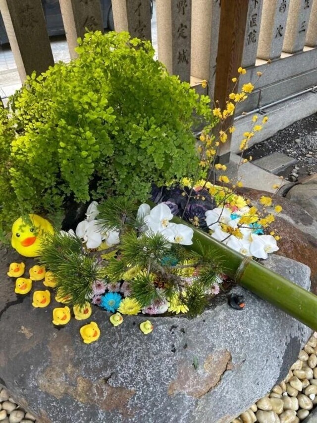 出勤しました｜写メ日記｜ミンチー｜鶯谷 一般デリヘル 鶯谷デッドボール