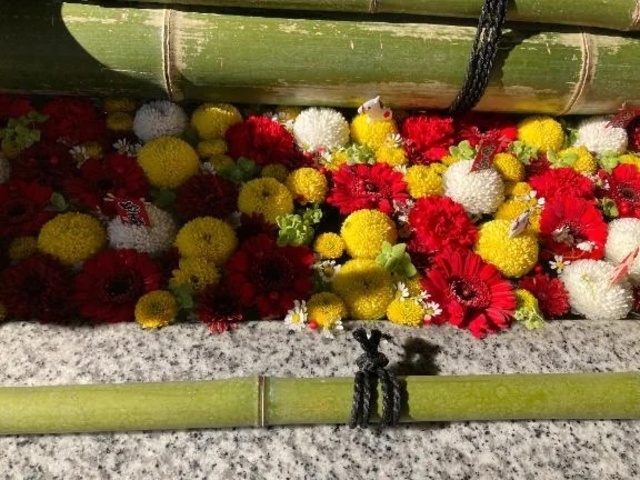 出勤しました｜写メ日記｜ミンチー｜鶯谷 一般デリヘル 鶯谷デッドボール