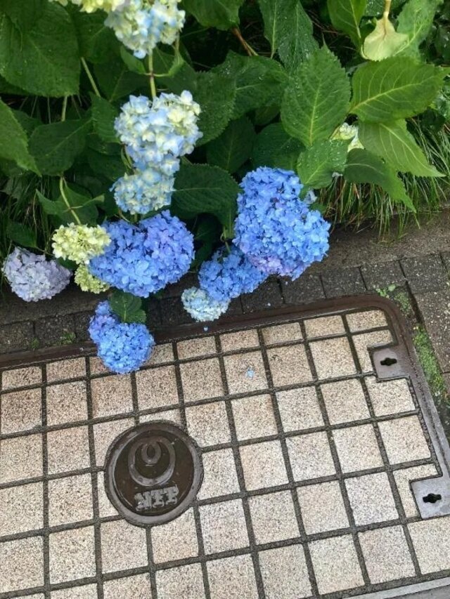 出勤しました｜写メ日記｜ミンチー｜鶯谷 一般デリヘル 鶯谷デッドボール