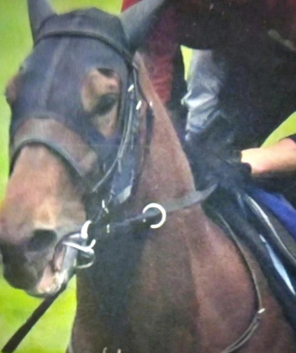 (//∇//)金杯の日ですね｜写メ日記｜黒沢｜鶯谷 一般デリヘル 鶯谷デッドボール