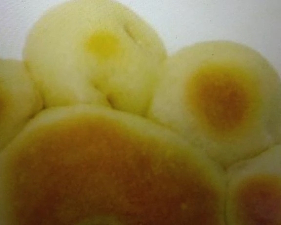 (//∇//)有難うございました！｜写メ日記｜黒沢｜鶯谷 一般デリヘル 鶯谷デッドボール