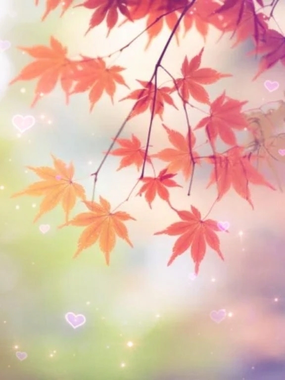 ごめんなさい🙇🏻‍♀️