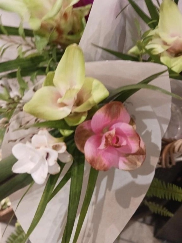 ２６日(火)お昼１２時～午後５時上がり｜写メ日記｜上園（うえぞの）｜鶯谷 一般デリヘル 鶯谷デッドボール