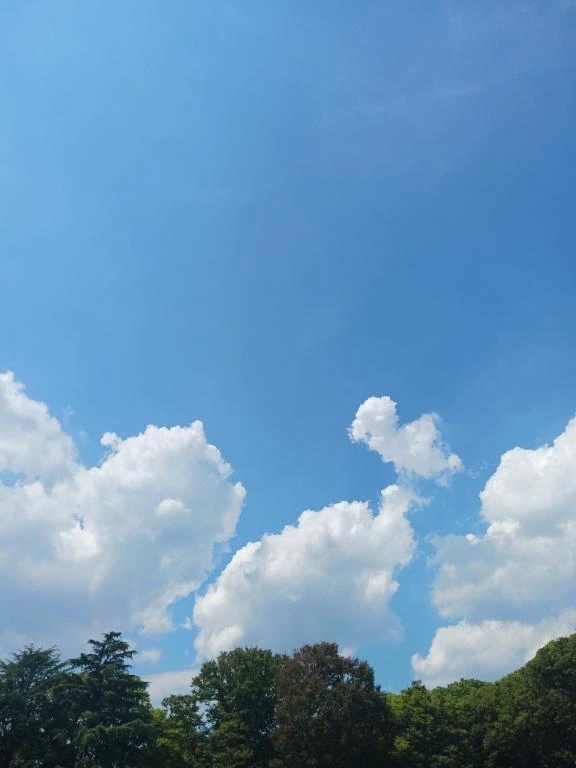 今日もありがとう❤️💛｜写メ日記｜上園（うえぞの）｜鶯谷 一般デリヘル 鶯谷デッドボール