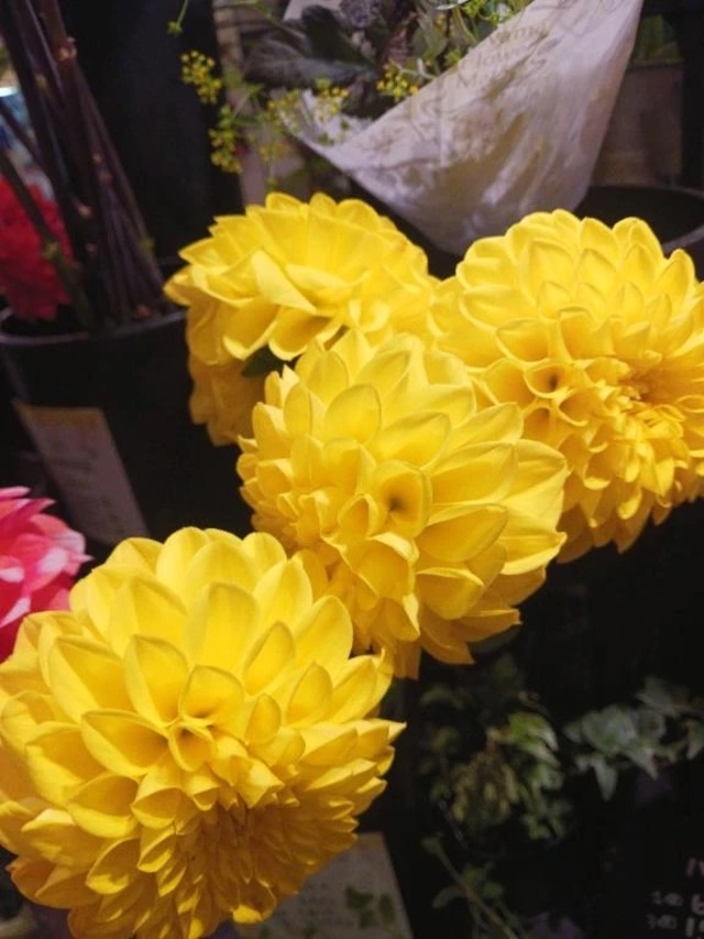 今日も貴方にお誘いいただき❤️💛｜写メ日記｜上園（うえぞの）｜鶯谷 一般デリヘル 鶯谷デッドボール