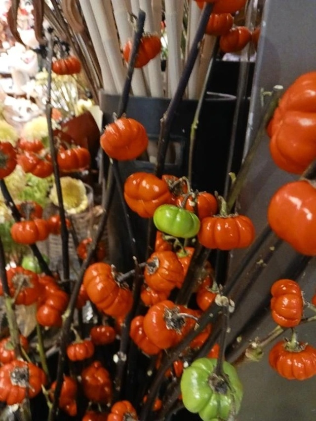 ❤️出勤予定１１月８日(土)～１６日(日)まで💛｜写メ日記｜上園（うえぞの）｜鶯谷 一般デリヘル 鶯谷デッドボール