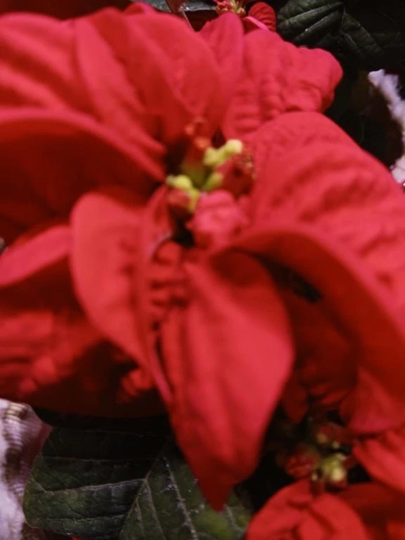 今日も貴方に❤️💛😍ありがとう｜写メ日記｜上園（うえぞの）｜鶯谷 一般デリヘル 鶯谷デッドボール