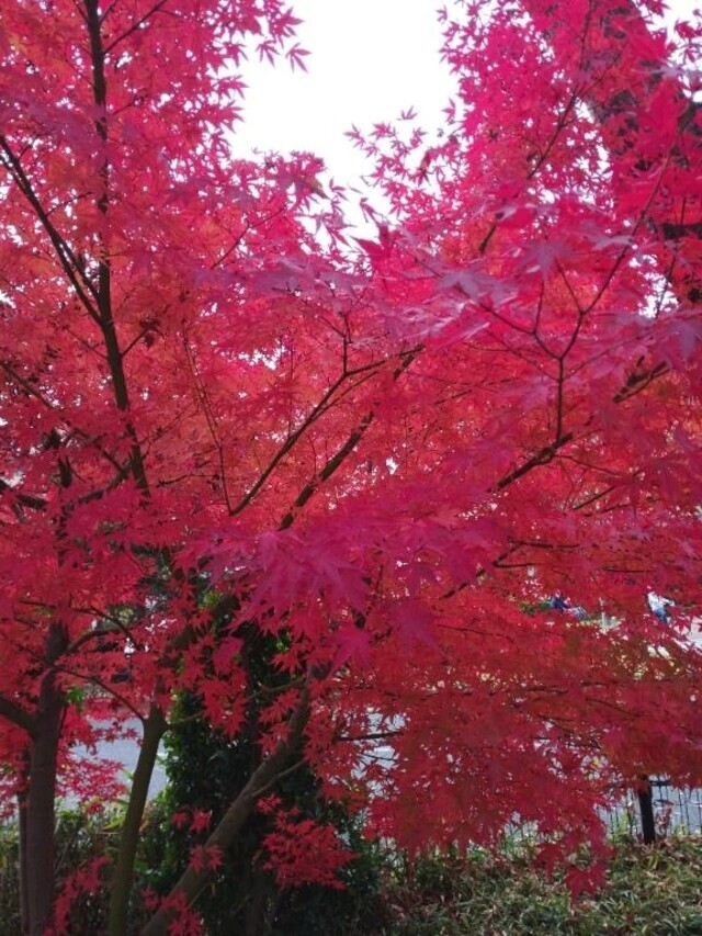 今日も貴方に😆😍❤️