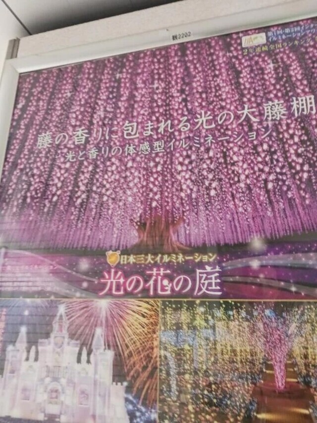 ❤️出勤予定１２月７日(日)～１６日(火)まで💛