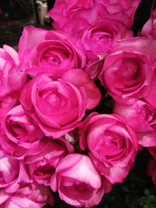 今日も貴方にありがとう❤️