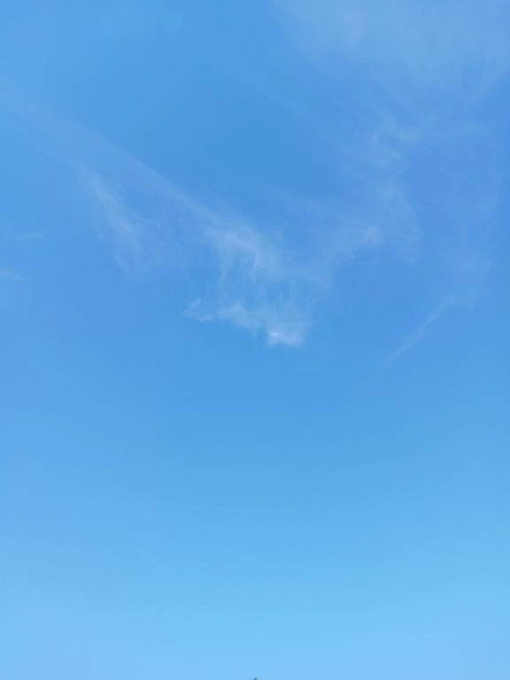 年内出勤は、２７日までに、｜写メ日記｜上園（うえぞの）｜鶯谷 一般デリヘル 鶯谷デッドボール