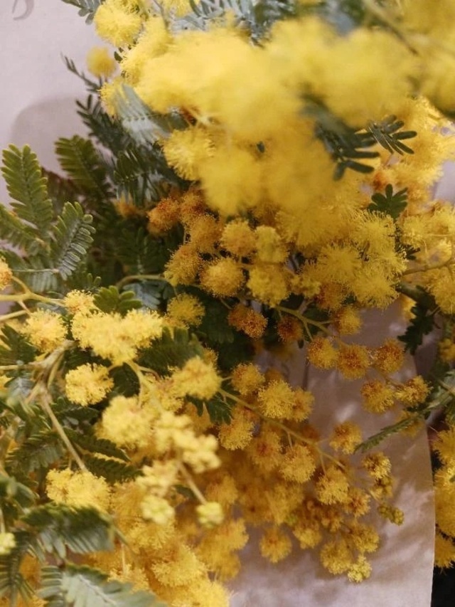 今日も貴方にありがとう❤️｜写メ日記｜上園（うえぞの）｜鶯谷 一般デリヘル 鶯谷デッドボール