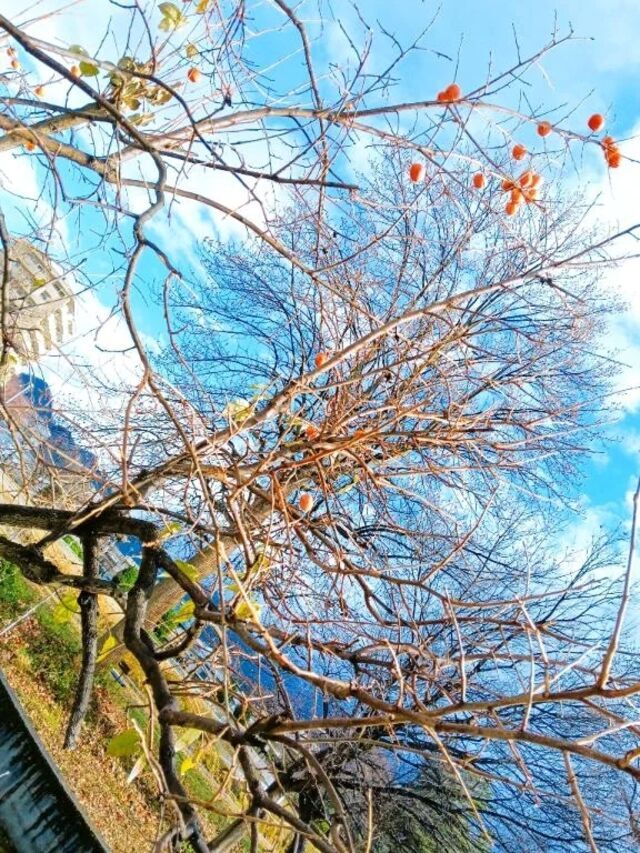 🍎山形ソロ旅行☁️②｜写メ日記｜伊藤りこ｜鶯谷 一般デリヘル 鶯谷デッドボール