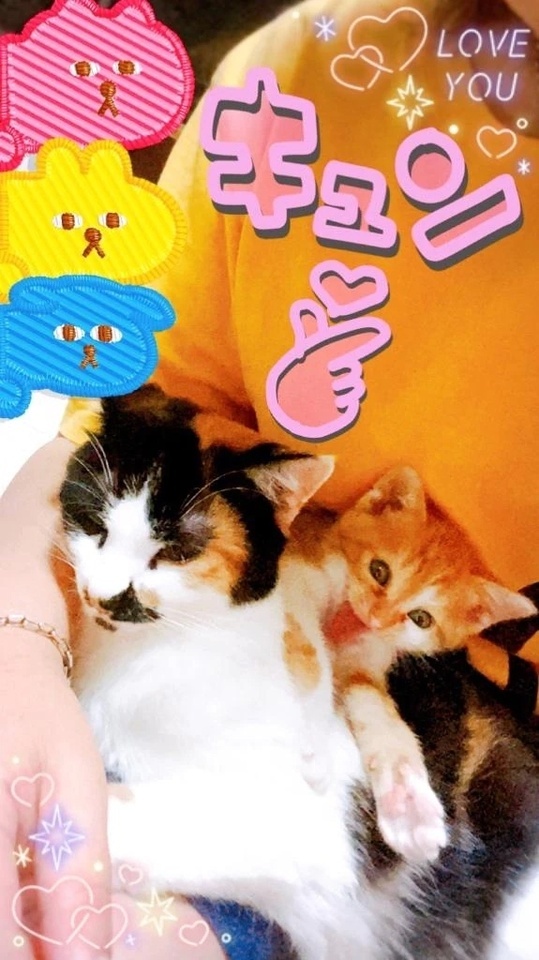 私の癒し♥️｜写メ日記｜本間｜鶯谷 一般デリヘル 鶯谷デッドボール