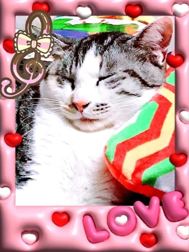 ♥️おはょ～♥️｜写メ日記｜本間｜鶯谷 一般デリヘル 鶯谷デッドボール