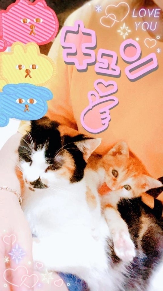 今日も寒いのかい…｜写メ日記｜本間｜鶯谷 一般デリヘル 鶯谷デッドボール