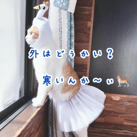 寒…。｜写メ日記｜本間｜鶯谷 一般デリヘル 鶯谷デッドボール