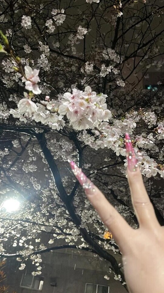 今年初🌸｜写メ日記｜本間｜鶯谷 一般デリヘル 鶯谷デッドボール