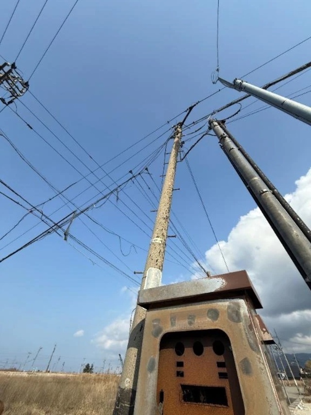 4月になりましたね｜写メ日記｜バニスター｜鶯谷 一般デリヘル 鶯谷デッドボール