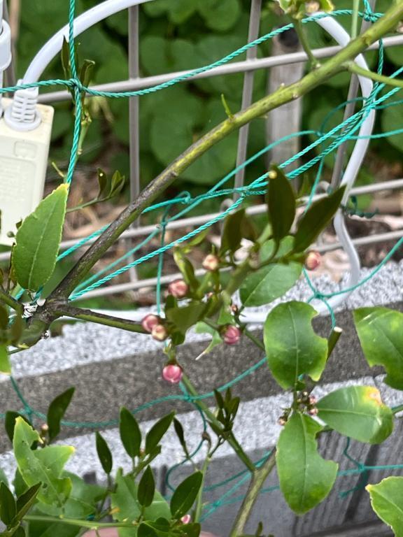 おはようございます
