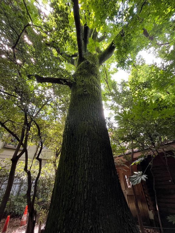 有難うございます｜写メ日記｜桧山(ひやま)｜鶯谷 一般デリヘル 鶯谷デッドボール