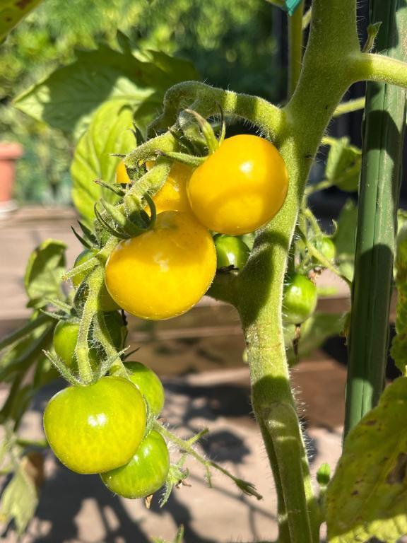 おはようございます｜写メ日記｜桧山(ひやま)｜鶯谷 一般デリヘル 鶯谷デッドボール