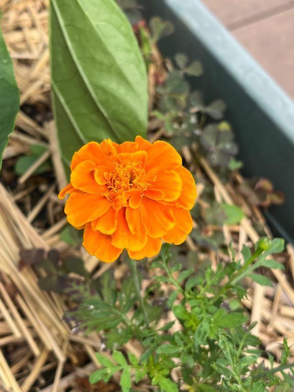 おはようございます｜写メ日記｜桧山(ひやま)｜鶯谷 一般デリヘル 鶯谷デッドボール