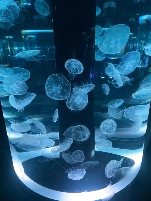 😍おデート😍｜写メ日記｜泉｜鶯谷 一般デリヘル 鶯谷デッドボール