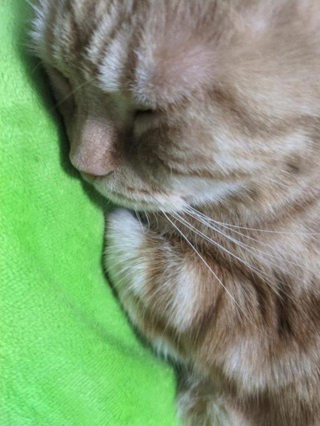 池袋にて｜写メ日記｜柿田｜鶯谷 一般デリヘル 鶯谷デッドボール