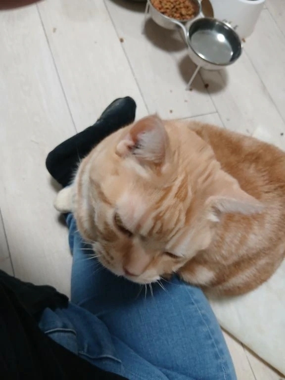 イベントやります(๑•̀ㅂ•́)و✧｜写メ日記｜柿田｜鶯谷 一般デリヘル 鶯谷デッドボール