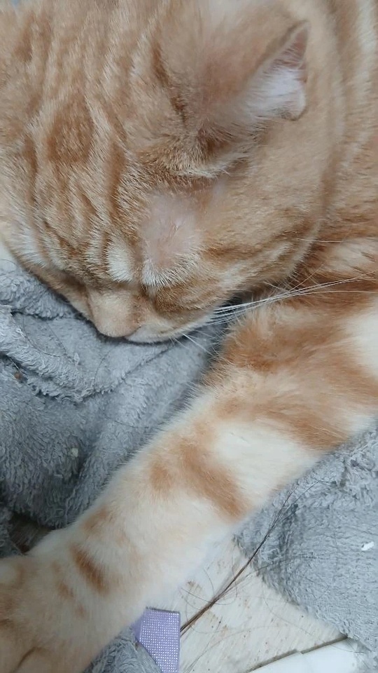 待機してます😊｜写メ日記｜柿田｜鶯谷 一般デリヘル 鶯谷デッドボール