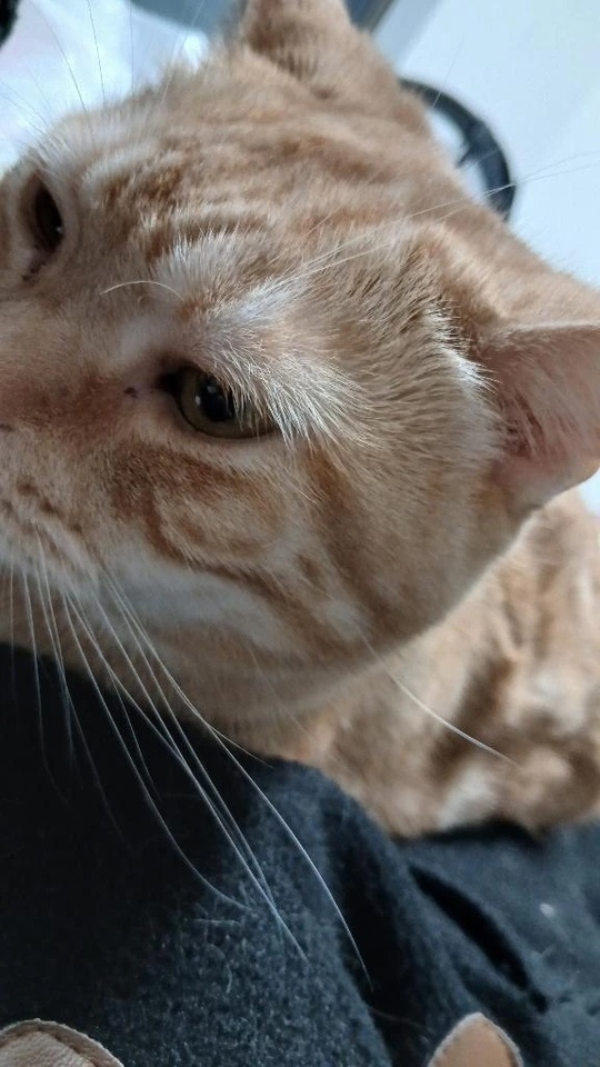 まだ空きあります