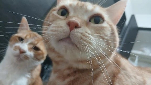 向かってますε＝(((((ﾉ･ω･)ﾉ｜写メ日記｜柿田｜鶯谷 一般デリヘル 鶯谷デッドボール