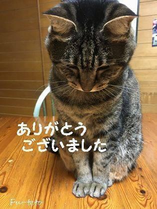 お礼です🍒｜写メ日記｜チェリー｜鶯谷 一般デリヘル 鶯谷デッドボール