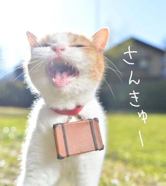 お礼です🍒｜写メ日記｜チェリー｜鶯谷 一般デリヘル 鶯谷デッドボール