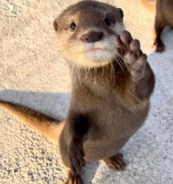 出勤です🍒｜写メ日記｜チェリー｜鶯谷 一般デリヘル 鶯谷デッドボール