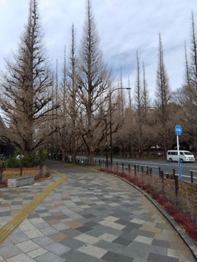 お休み🌺㊥｜写メ日記｜チェリー｜鶯谷 一般デリヘル 鶯谷デッドボール