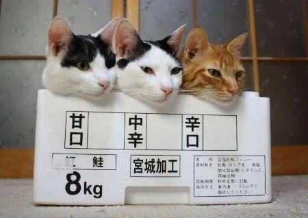 出勤準備㊥｜写メ日記｜チェリー｜鶯谷 一般デリヘル 鶯谷デッドボール