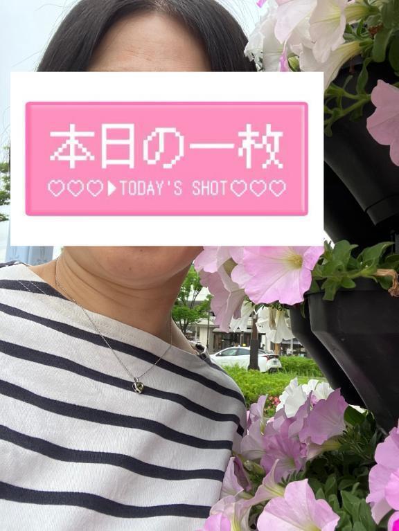 あなたに見せたいアレ｜写メ日記｜菊田｜鶯谷 一般デリヘル 鶯谷デッドボール