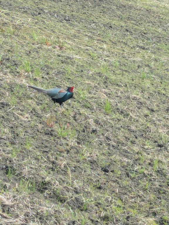 大変ご無沙汰しております｜写メ日記｜八木｜鶯谷 一般デリヘル 鶯谷デッドボール
