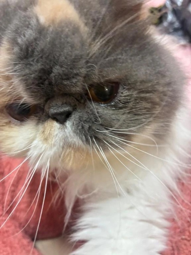 おはよー｜写メ日記｜凪(なぎ)｜鶯谷 一般デリヘル 鶯谷デッドボール